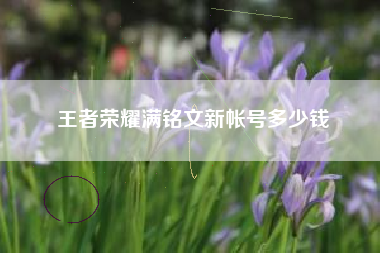 王者荣耀满铭文新帐号多少钱