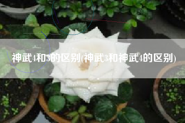 神武4和3的区别(神武3和神武4的区别)