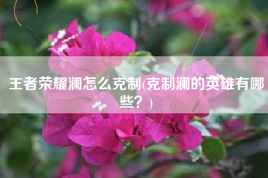 王者荣耀澜怎么克制(克制澜的英雄有哪些？)