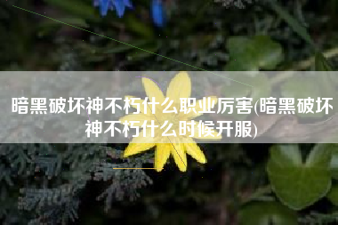 暗黑破坏神不朽什么职业厉害(暗黑破坏神不朽什么时候开服)