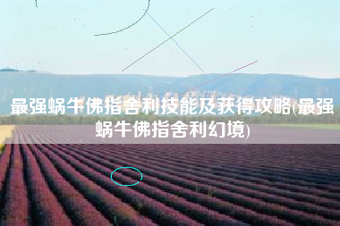 最强蜗牛佛指舍利技能及获得攻略(最强蜗牛佛指舍利幻境)