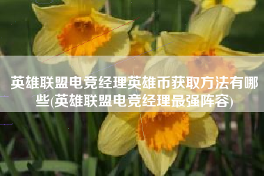 英雄联盟电竞经理英雄币获取方法有哪些(英雄联盟电竞经理最强阵容)