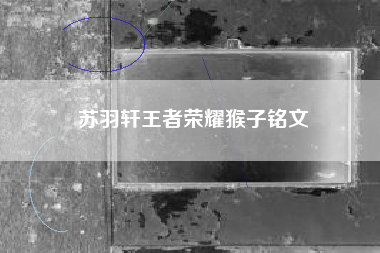 苏羽轩王者荣耀猴子铭文