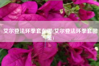 艾尔登法环拳套在哪(艾尔登法环拳套图鉴)