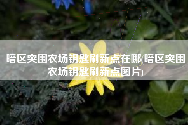 暗区突围农场钥匙刷新点在哪(暗区突围农场钥匙刷新点图片)
