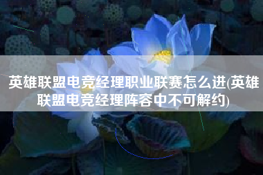 英雄联盟电竞经理职业联赛怎么进(英雄联盟电竞经理阵容中不可解约)