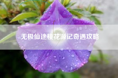 无极仙途桃花源记奇遇攻略