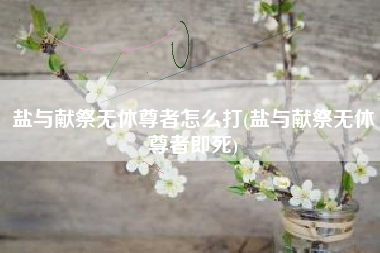 盐与献祭无休尊者怎么打(盐与献祭无休尊者即死)