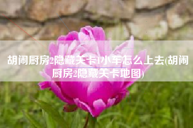 胡闹厨房2隐藏关卡1小车怎么上去(胡闹厨房2隐藏关卡地图)