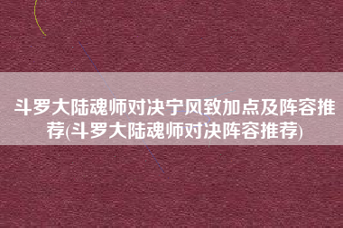 斗罗大陆魂师对决宁风致加点及阵容推荐(斗罗大陆魂师对决阵容推荐)