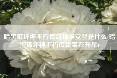 暗黑破坏神不朽传奇精华觉醒是什么(暗黑破坏神不朽传奇宝石升星)