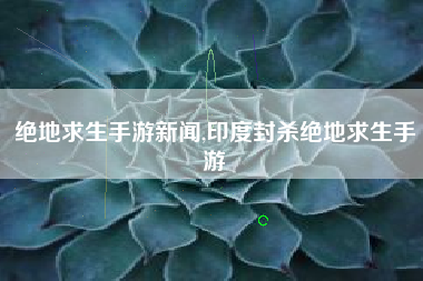 绝地求生手游新闻,印度封杀绝地求生手游
