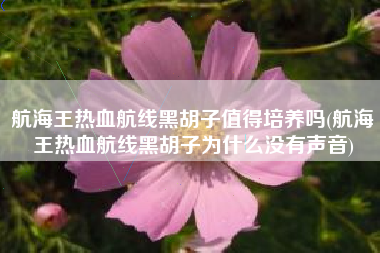 航海王热血航线黑胡子值得培养吗(航海王热血航线黑胡子为什么没有声音)
