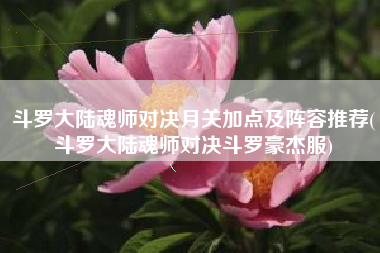 斗罗大陆魂师对决月关加点及阵容推荐(斗罗大陆魂师对决斗罗豪杰服)