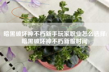 暗黑破坏神不朽新手玩家职业怎么选择(暗黑破坏神不朽新服时间)
