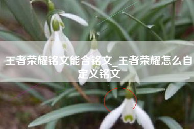 王者荣耀铭文能合铭文_王者荣耀怎么自定义铭文