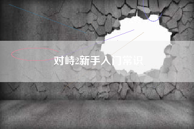 对峙2新手入门常识