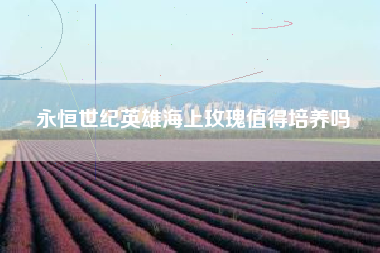 永恒世纪英雄海上玫瑰值得培养吗
