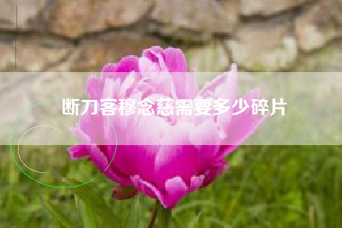 断刀客穆念慈需要多少碎片