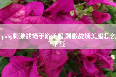 pubg刺激战场手游美服,刺激战场美服怎么下载