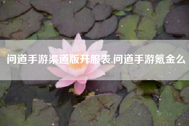 问道手游渠道版开服表,问道手游氪金么