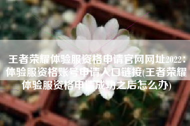 王者荣耀体验服资格申请官网网址2022：体验服资格账号申请入口链接(王者荣耀体验服资格申请成功之后怎么办)