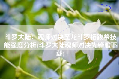 斗罗大陆：魂师对决圣龙斗罗拓跋希技能强度分析(斗罗大陆魂师对决先锋服下载)
