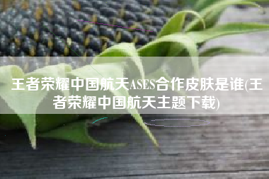 王者荣耀中国航天ASES合作皮肤是谁(王者荣耀中国航天主题下载)