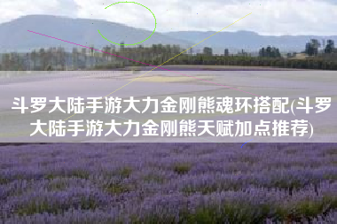 斗罗大陆手游大力金刚熊魂环搭配(斗罗大陆手游大力金刚熊天赋加点推荐)