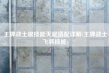 王牌战士银技能天赋搭配详解(王牌战士飞将技能)