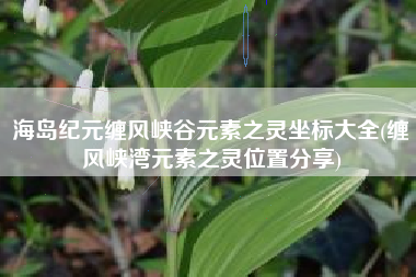 海岛纪元缠风峡谷元素之灵坐标大全(缠风峡湾元素之灵位置分享)