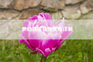 梦幻物语伙伴天帝详解