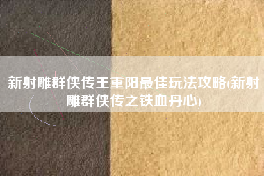 新射雕群侠传王重阳最佳玩法攻略(新射雕群侠传之铁血丹心)