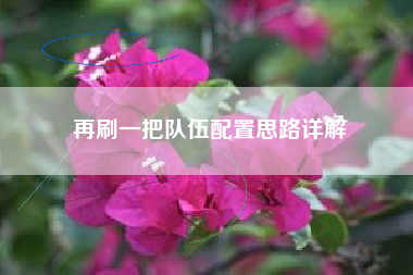 再刷一把队伍配置思路详解