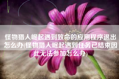 怪物猎人崛起遇到致命的应用程序退出怎么办(怪物猎人崛起遇到任务已结束因此无法参加怎么办)