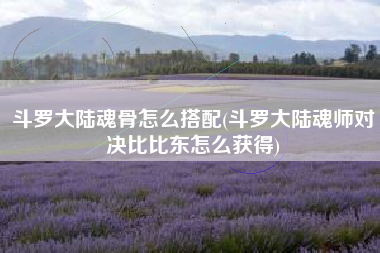 斗罗大陆魂骨怎么搭配(斗罗大陆魂师对决比比东怎么获得)