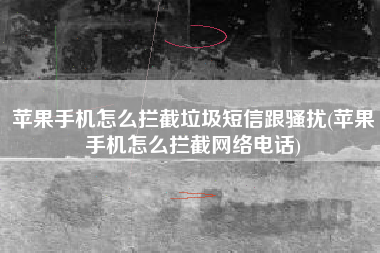苹果手机怎么拦截垃圾短信跟骚扰(苹果手机怎么拦截网络电话)