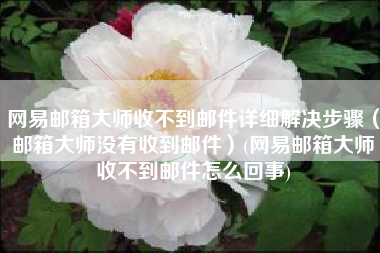 网易邮箱大师收不到邮件详细解决步骤（邮箱大师没有收到邮件）(网易邮箱大师收不到邮件怎么回事)