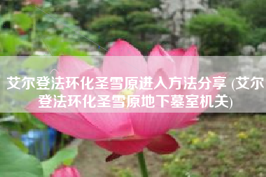 艾尔登法环化圣雪原进入方法分享 (艾尔登法环化圣雪原地下墓室机关)