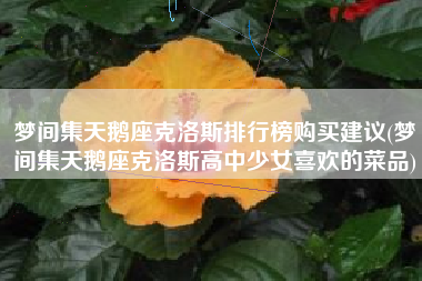 梦间集天鹅座克洛斯排行榜购买建议(梦间集天鹅座克洛斯高中少女喜欢的菜品)