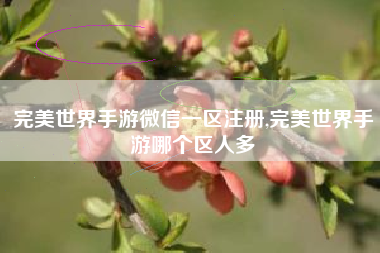 完美世界手游微信一区注册,完美世界手游哪个区人多