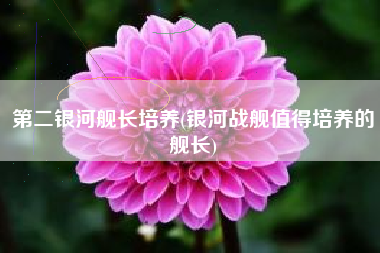 第二银河舰长培养(银河战舰值得培养的舰长)