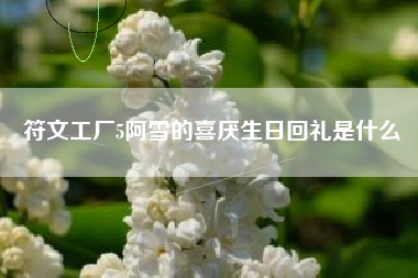 符文工厂5阿雪的喜厌生日回礼是什么