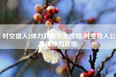 时空猎人3体力获取大全攻略(时空猎人公会换体力在哪)