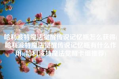 哈利波特魔法觉醒传说记忆瓶怎么获得(哈利波特魔法觉醒传说记忆瓶有什么作用)(哈利波特魔法觉醒卡组推荐)