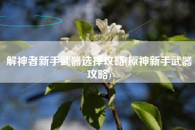 解神者新手武器选择攻略(原神新手武器攻略)