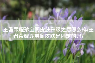 王者荣耀珍宝阁皮肤升级之后怎么样(王者荣耀珍宝阁皮肤是固定的吗)