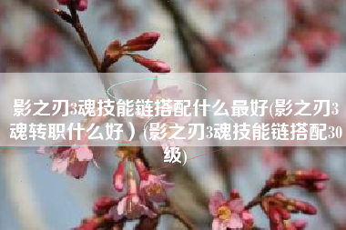 影之刃3魂技能链搭配什么最好(影之刃3魂转职什么好）(影之刃3魂技能链搭配30级)