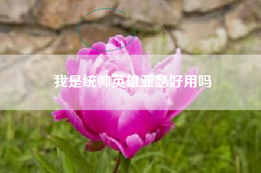我是统帅英雄亚瑟好用吗