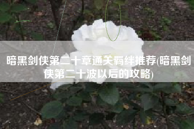 暗黑剑侠第二十章通关羁绊推荐(暗黑剑侠第二十波以后的攻略)